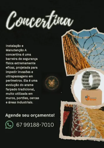 Concertina: Barreira de Aço e Proteção Perimetral