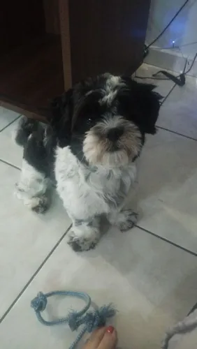 Doação shiatsu