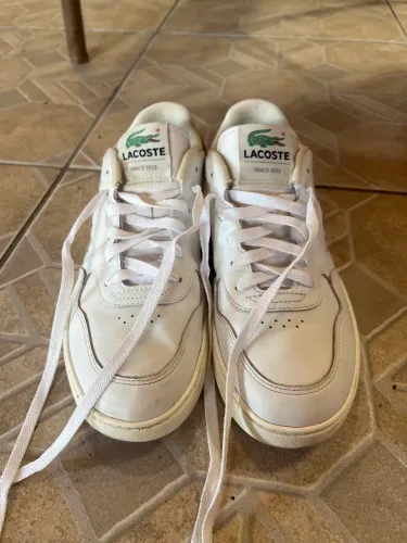 Tênis Lacoste original 