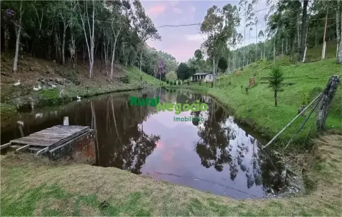 SÍTIO FORMADO COM LAGOS EM SALESÓPOLIS-SP
