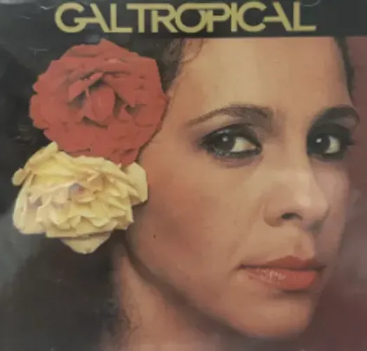 Disco de Vinil (LP) GAL - tropical