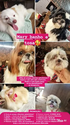 Mary banho e tosa