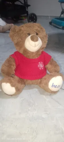 Ursinho de pelúcia . 