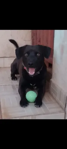 Doação responsável 