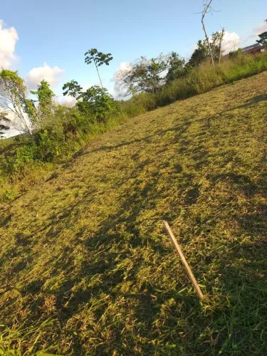Vende-se um terreno 