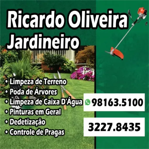 Jardineiro: Limpeza de Terreno, Poda e Manutenção