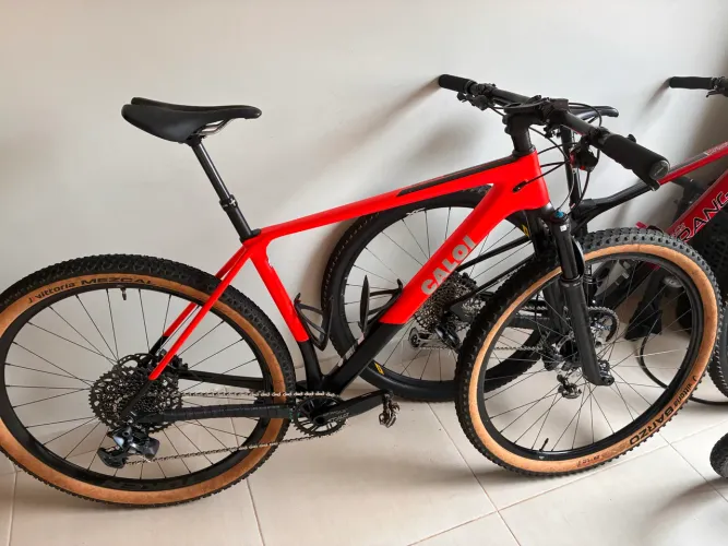 Caloi Carbon Sport TAM L