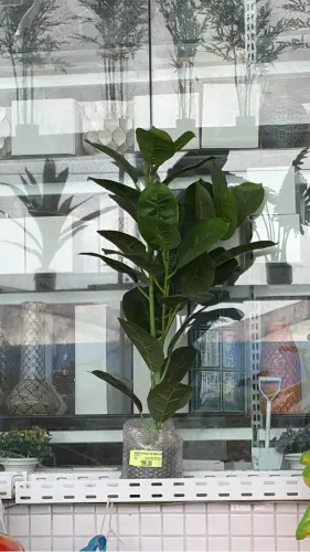 Planta artificial