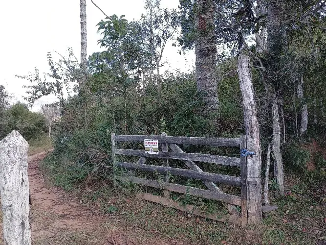 Sítio na Mantiqueira, 18 ha, nascente, pasto, apiário, córrego, mata e vista - R$ 450 mi