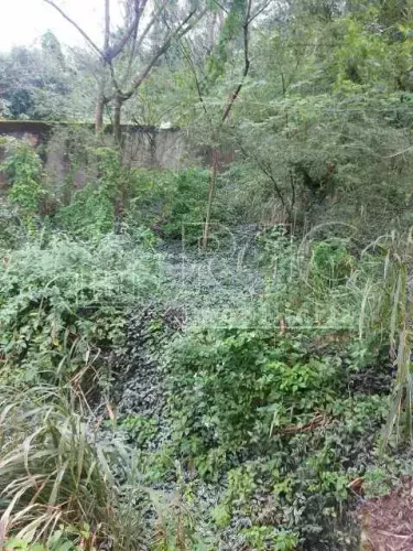 Lote/Terreno para venda possui 1159 metros quadrados em Grajaú - Rio de Janeiro - RJ