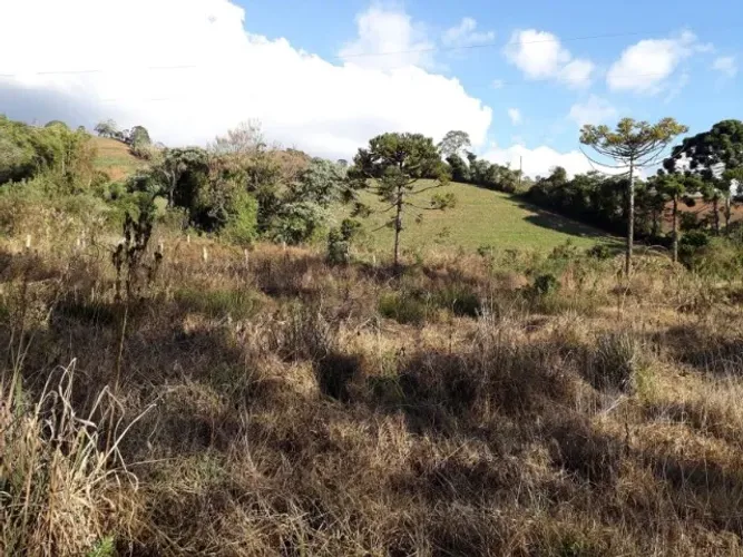 vendo terreno RURAL em Maria da Fé, medindo 2600 metros.