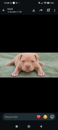 Pit monster