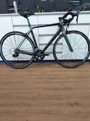 Sense Prologue 2019 - Carbono