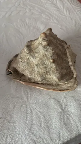 Concha do Mar