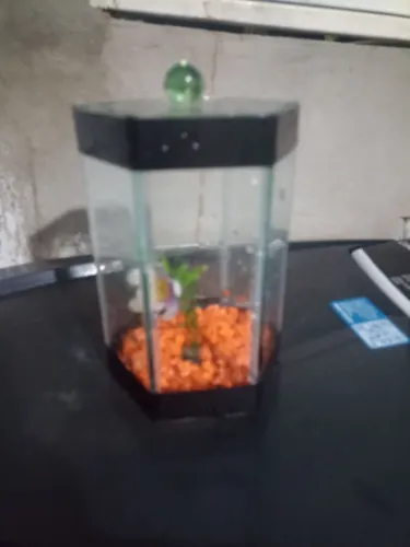 Mini aquário para peixinhos