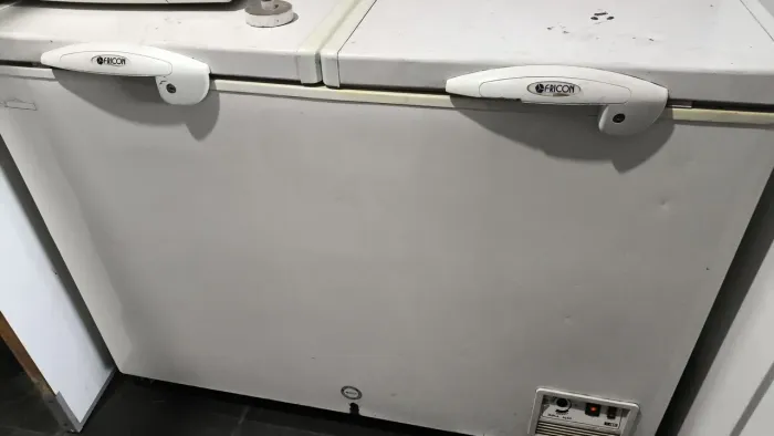 Freezer horizontal