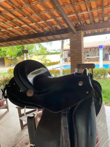 Sela Australiana de pista 