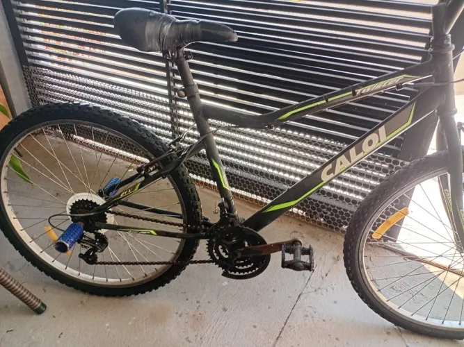 Bicicleta