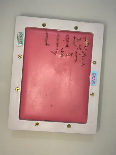Placa para Treinamento de Sutura E Incisão - Orais