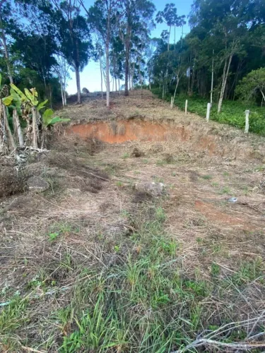 Terreno à venda em Morro Agudo - Paulo Lopes/SC: 1.500 m² de oportunidade única!