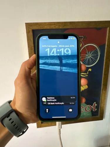 iphone 12 pro com capinha + carregador completo