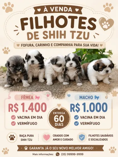Filhotes shin tsu