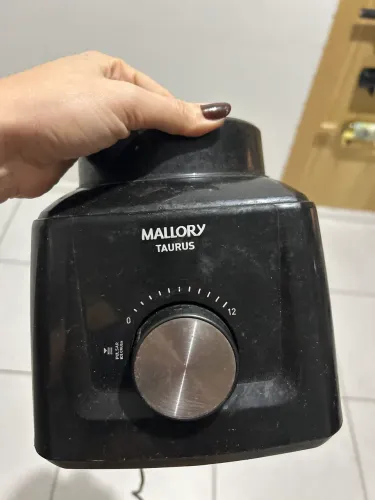 Motor liquidificador