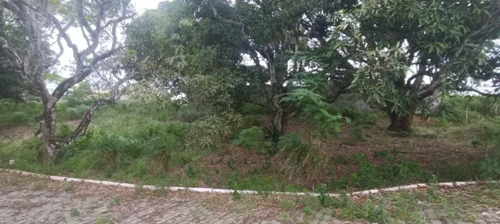 Incrível Terreno de 450m² no Mar do Norte - Rio das Ostras/RJ