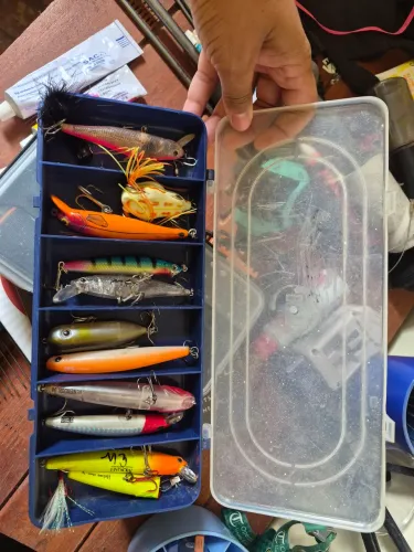 Kit com 13 Iscas Artificiais para Pesca + Estojo