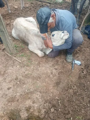 Serviço geral