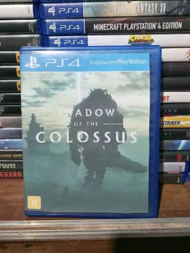 Shadow of the Colossus - PS4 (Usado) 