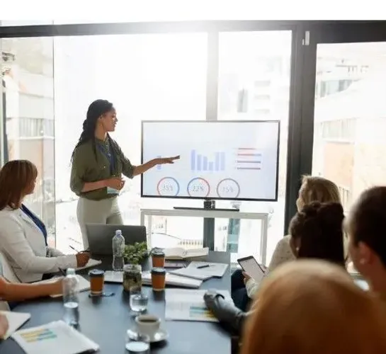Representante Comercial Externo