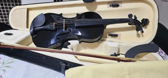 Violino 4/4 Jahnke Student - Black Maple | Completo