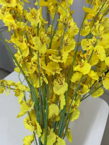 10 galhos de orquídea chuva de ouro