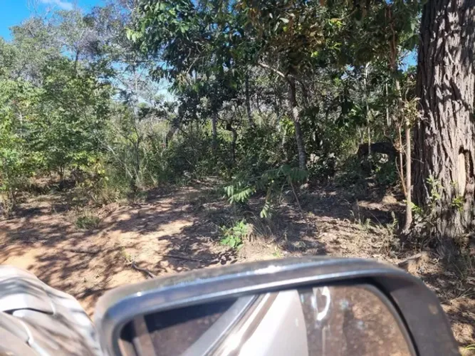 Fazenda Goiás São João da Aliança Niquelândia