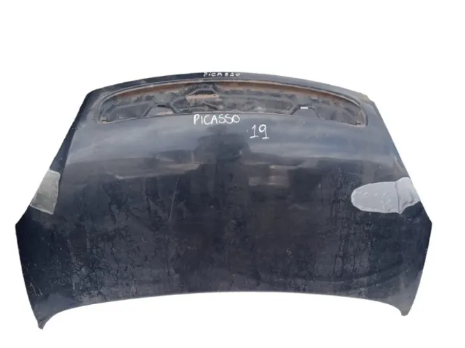 Capo Citroen Xsara Picasso 2005 2006 N19