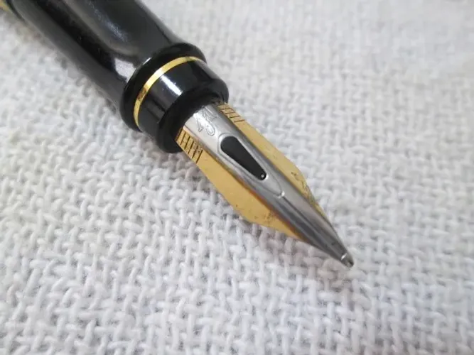Caneta tinteiro Waterman Expert