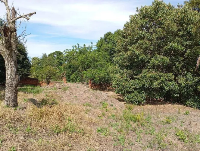 Terreno à venda - Jardim Parque da Palmeiras - Serra Negra/SP