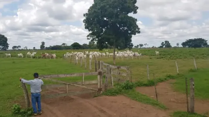 Fazenda 1.296 alqueires em pontes de Lacerda doc. Ok