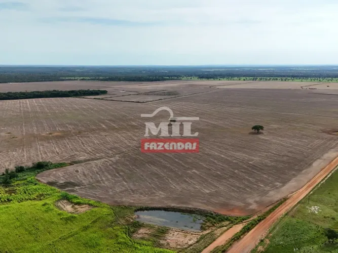 Fazenda agrícola com 434 alqueires ( 2.103 hectares ) Pium-TO