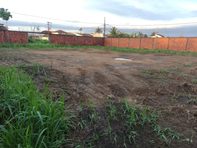 Preciso de alguém para limpeza de terreno