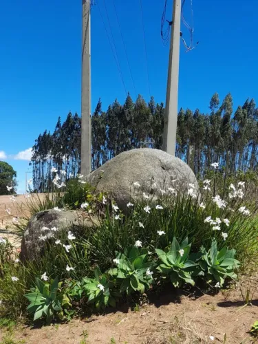 Vendo sitio com casas