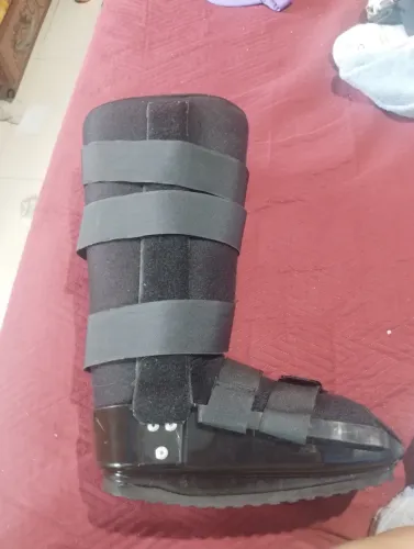 Bota
