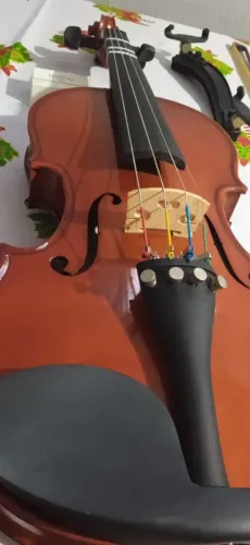 Violino