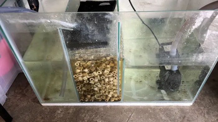 Aquário 300l ou mais com sump sem vazamento