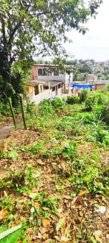 Lotes a venda ( Próximo ao derba e novo VLT ).