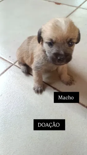 DOAÇÃO 