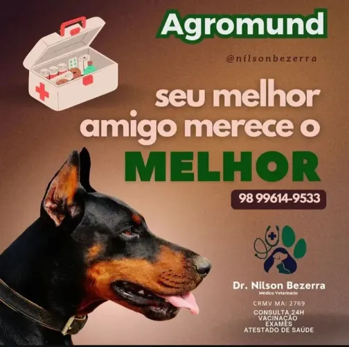 Atendimento veterinário 24 hrs