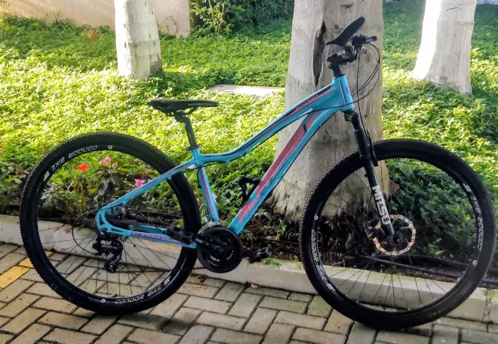 Bicicleta ALFAMEC pandora aro 29