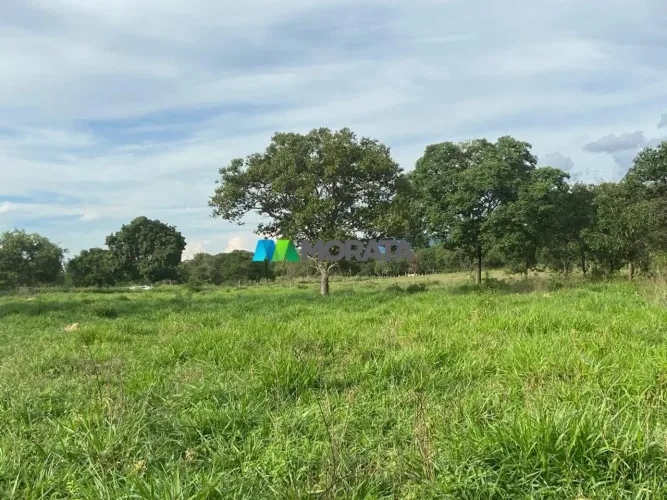 FAZENDA À VENDA - 90 HECTARES - CORINTO (MG)